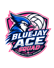 Load image into Gallery viewer, Bluejay Ace Squad Tee
